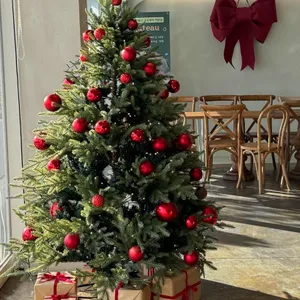 바토 플루이르 리뷰 사진