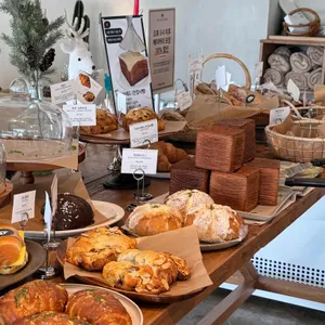 바토 플루이르 대표 사진