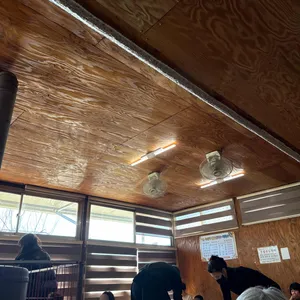 옹심이칼국수 리뷰 사진