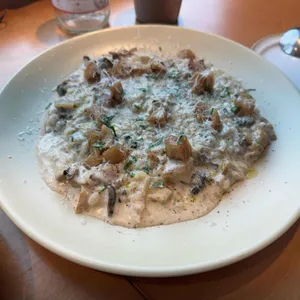 로옹 대표 사진