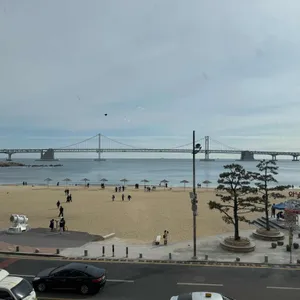 워킹홀리데이 대표 사진