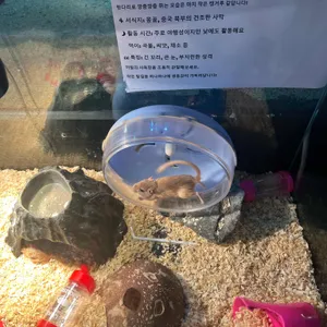 수풀림아쿠아카페&펍 리뷰 사진