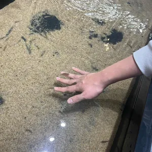 수풀림아쿠아카페&펍 대표 사진