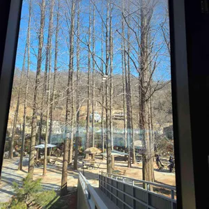 빅트리 대표 사진