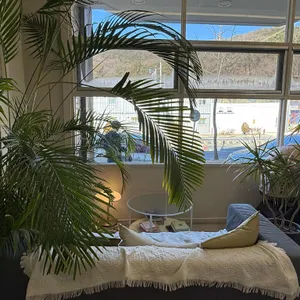 텍스트가든 대표 사진