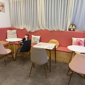 카페 데이즈 대표 사진