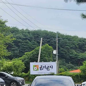 곤지곤지 대표 사진