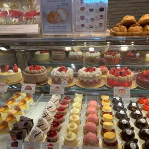 옵스 리뷰 사진