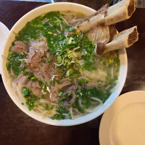 포레스트 사진 2