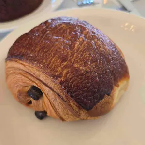 폰손비 대표 사진