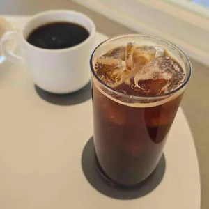 폰손비 대표 사진