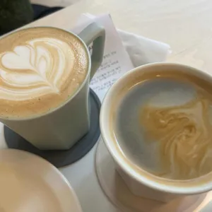 미트큐트 사진 1