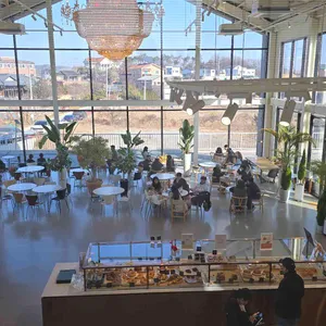 폰손비 대표 사진