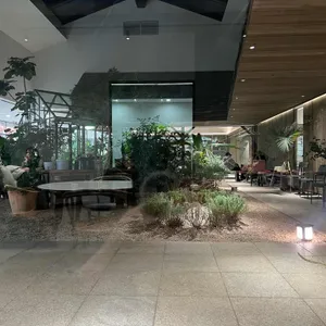 마이알레 대표 사진