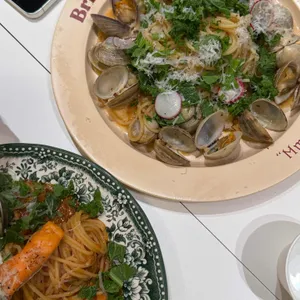 브리비트 대표 사진