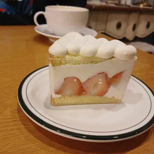 폴럽 대표 사진