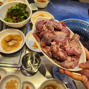 서래갈매기 사진 1