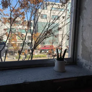 HHSS HOUSE 리뷰 사진