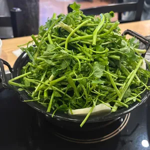 등촌샤브칼국수 대표 사진