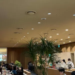 콜렉티보 대표 사진