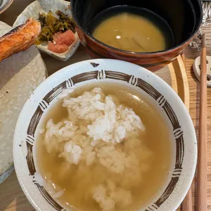 코이보타루 대표 사진