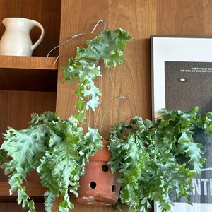 센트릭커피 리뷰 사진