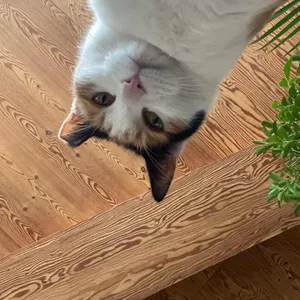 제이포렛 대표 사진