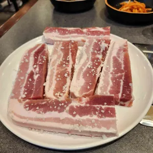 부산갈매기 대표 사진