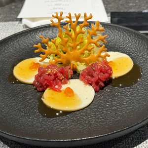 토우베 대표 사진