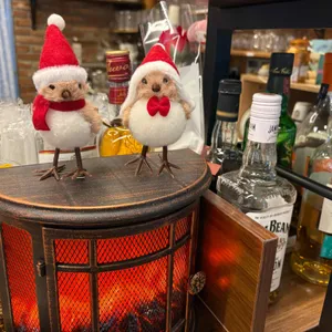 코르누코피아 대표 사진