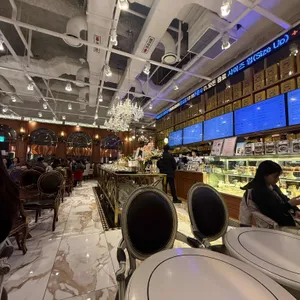 베르체 대표 사진