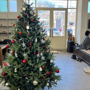 흰다정 대표 사진