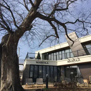 마리올라 사진 2