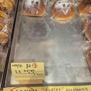 베이커리 봉교 리뷰 사진