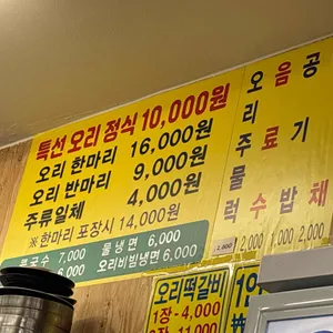 참조은오리3579 리뷰 사진