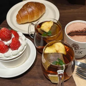 슬라이폭스 사진 1