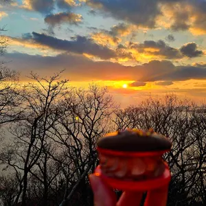 카페 시작 대표 사진