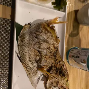 로바타 니카이 대표 사진