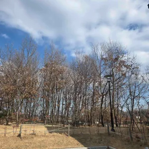 도대리카페 리뷰 사진