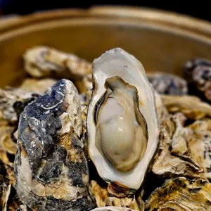 왕새우직판장 리뷰 사진