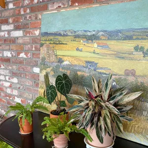 빈센트반커피 대표 사진