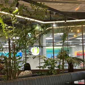 마호가니 대표 사진