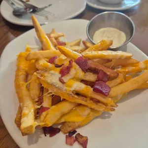 아웃백 대표 사진