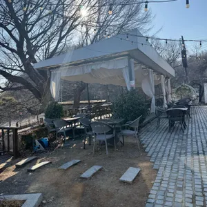 트윈트리 대표 사진