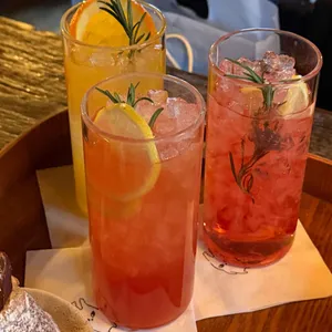 도토리 대표 사진