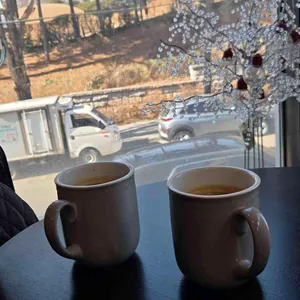 디제르뷔 대표 사진