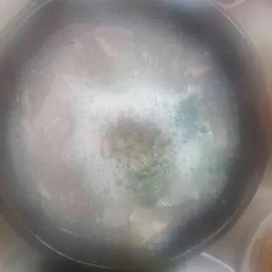 신가네국밥 대표 사진