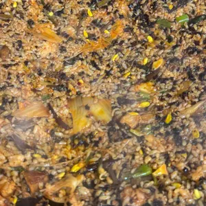 솥굽친구 대표 사진