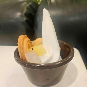 봄담아 대표 사진