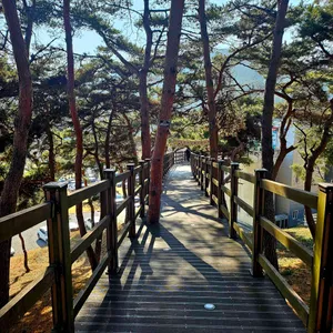 카페하이디 리뷰 사진